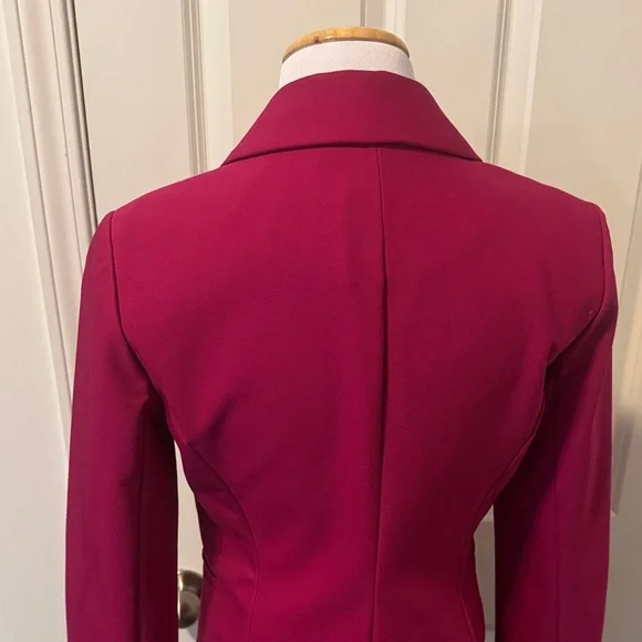 Nicole Miller Deep Raspberry Single-Button Tailored Blazer with Silver Buttons - Picture 5 of 10